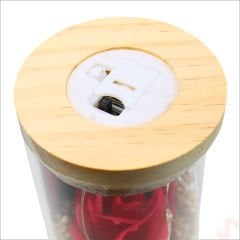 Gül ve Kuru Çiçek Buketli Led Işıklı 23cm x 7cm Cam Fanus, Kırmızı