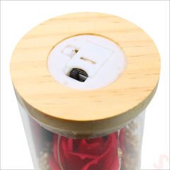 Gül ve Kuru Çiçek Buketli Led Işıklı 23cm x 7cm Cam Fanus, Kırmızı