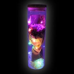 Gül ve Kuru Çiçek Buketli Led Işıklı 23cm x 7cm Cam Fanus, Mor