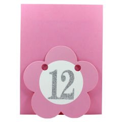 1-12 Ay Simli Foto Banner, 3,00 mt, Pembe
