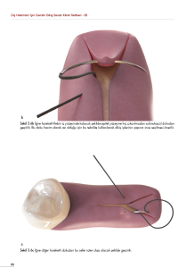DİŞ HEKİMLERİ İÇİN CERRAHİ DİKİŞ SANATI KLİNİK REHBERİ - III