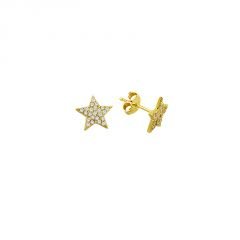 Beelo Gold 14K  Zirkon Yıldız Tasarım Altın Küpe