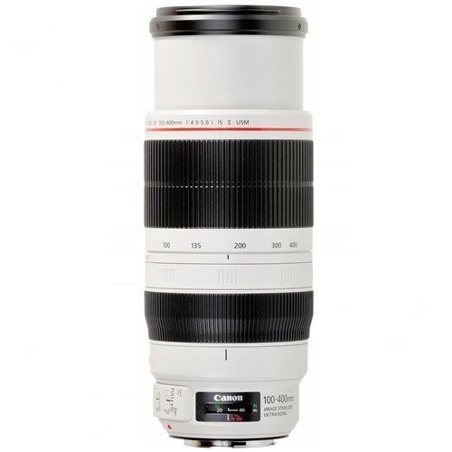 Canon EF 100-400mm f/4.5-5.6L IS II USM Lens