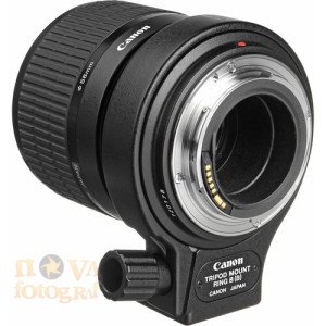 Canon MP-E 65mm f/2.8 1-5x Macro Lens