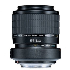 Canon MP-E 65mm f/2.8 1-5x Macro Lens