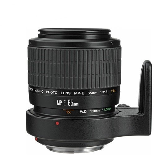 Canon MP-E 65mm f/2.8 1-5x Macro Lens