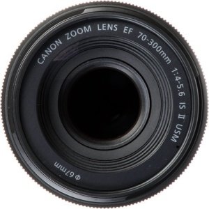 Canon EF 70-300mm f/4-5.6 IS II Nano USM Lens