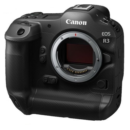 Canon EOS R3 + Canon EF-EOS R Mount Adaptör