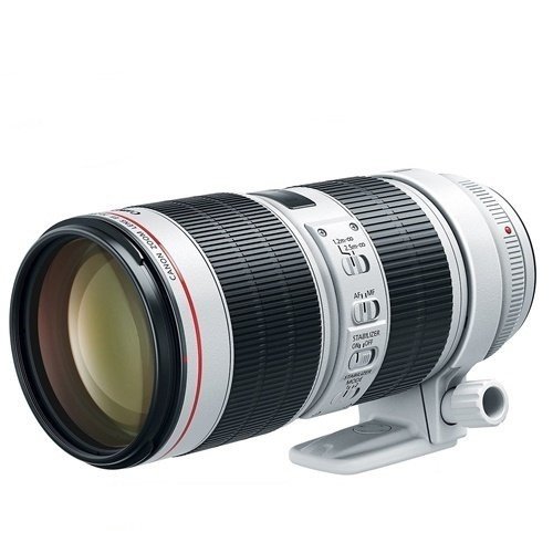 Canon EF 70-200mm f/2.8L IS III USM Lens