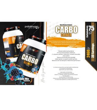 Carbo Gainer 2460 Gr Karışık Meyve