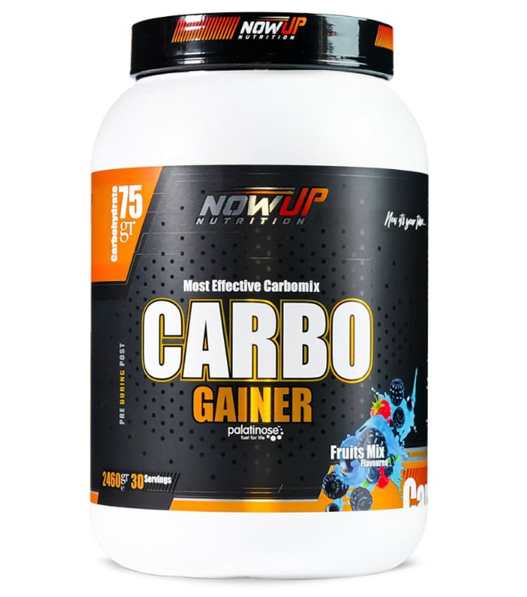 Carbo Gainer 2460 Gr Karışık Meyve