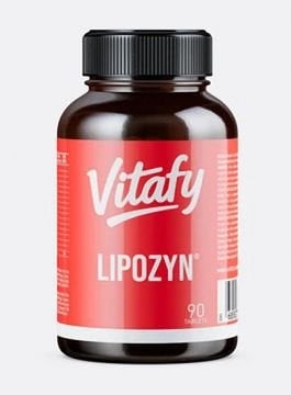 Vitafy Lipozyn 90 Tablet