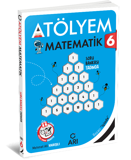 Arı 6.Sınıf Yeni Matematik Atölyem 