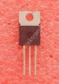 BUZ21 21A 100V SIPMOS Power Transistor