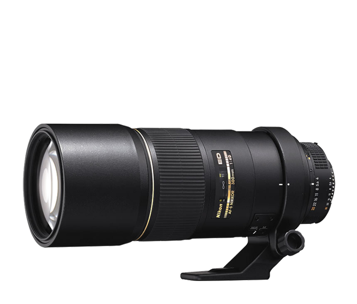 Nikon AF-S 300 mm F:4 D IF-ED