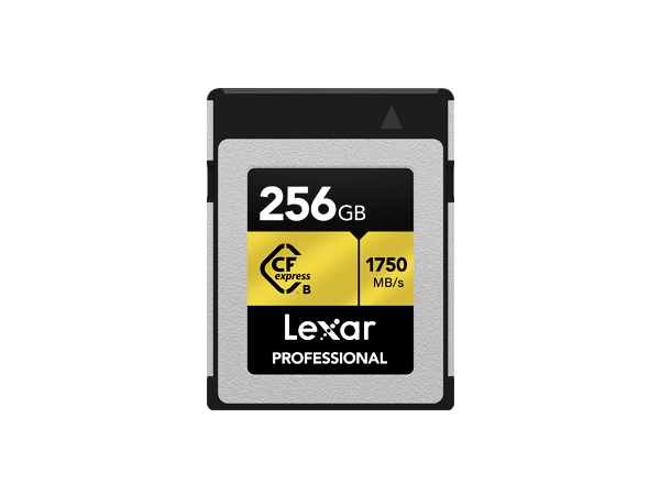 LEXAR 256GB CFEXPRESS CARD TYPE-B