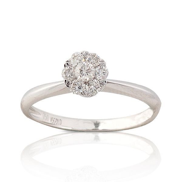 CORONET DCORYZ00132