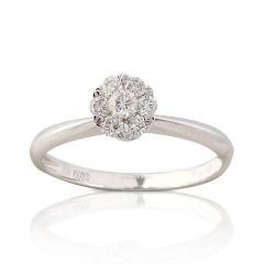 CORONET DCORYZ00132