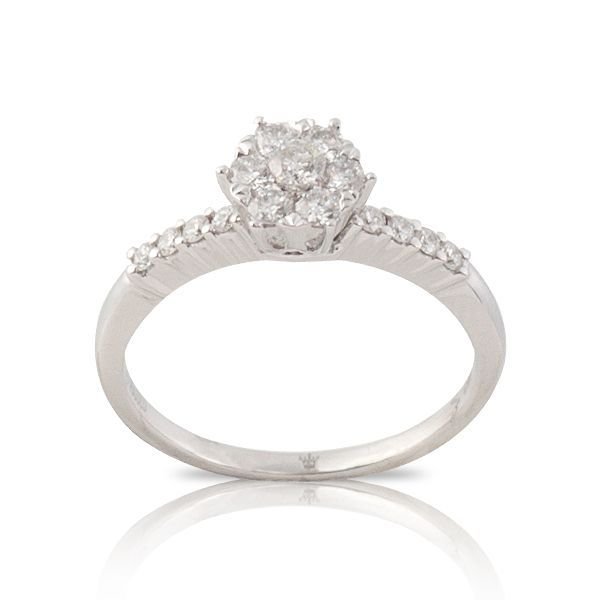 CORONET DCORYZ00184