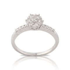 CORONET DCORYZ00184