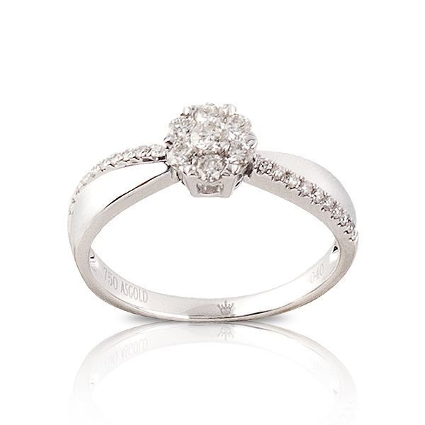 CORONET DCORYZ00247
