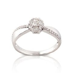 CORONET DCORYZ00247