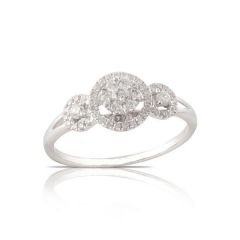 CORONET DCORYZ00363