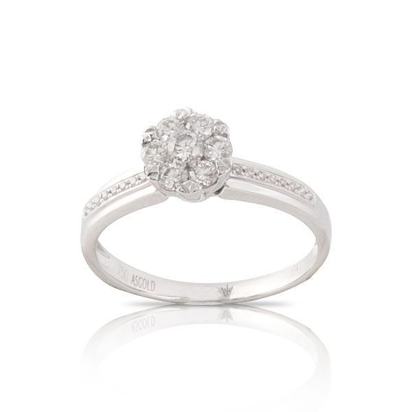 CORONET DCORYZ00077