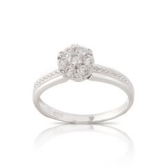CORONET DCORYZ00077