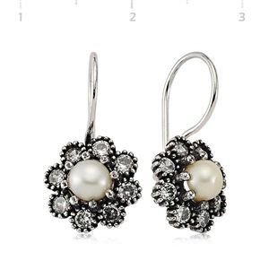 GUMUSH 925 Zirkon Taşlı Gümüş Küpe | EA1760009