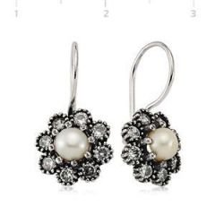 GUMUSH 925 Zirkon Taşlı Gümüş Küpe | EA1760009