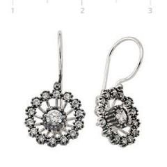 GUMUSH 925 Zirkon Taşlı Gümüş Küpe | EA1760010