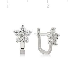 GUMUSH 925 Zirkon Taşlı Küpe | EA1080001