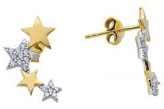 Altın Taşlı Yıldız  Küpe Kp000059 Melis Gold