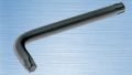 İZELTAŞ 4910220020 TORX ALLEN (T20)