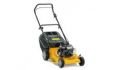 ALPINA FL 46 LM BENZİNLİ ÇİM BİÇME MAKİNASI (3.5 Hp)