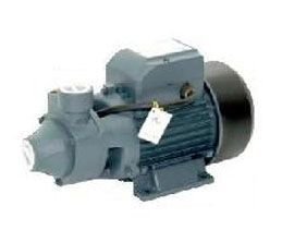 RAIN PUMP QB70 SANTRİFÜJ POMPA 1 (MONOFAZE)