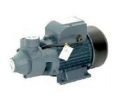 RAIN PUMP QB70 SANTRİFÜJ POMPA 1 (MONOFAZE)