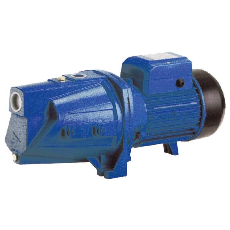 ELEKTRO MASCHINEN WPEM 11500 GSH BAHÇE POMPASI