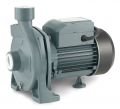 RAIN PUMP CPM146 SANTRİFÜJ POMPA