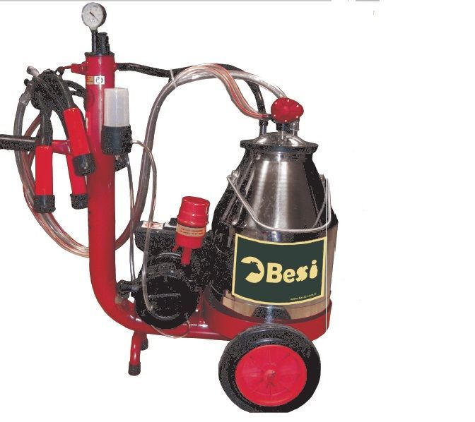 BESSİ MİNİ MODEL İNEK(Tek Sağım Tek Pulsatör)
