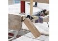 SKIL F0154900AA PANTER TESTERE (KANVAS ÇANTA+3 AD.BIÇAK)