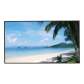 55'' UHD LED Monitor