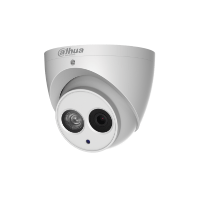 2MP IR Eyeball Network Kamera