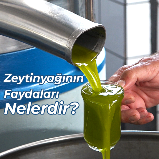 Zeytinyağının Faydaları Nelerdir?