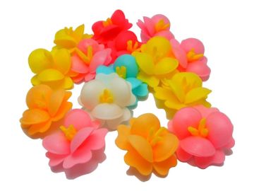GOFRET BEGONYA