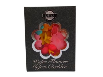 GOFRET BEGONYA