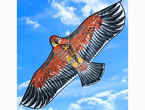 Kartal Şeklinde Uçurtma (170 cm)