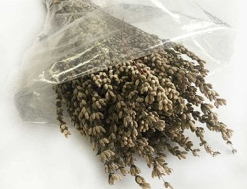 Doğal Naturel Lavanta Çiçek (100 gr)
