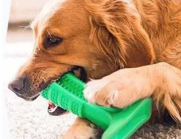 Köpek Diş Fırçası Diş Temizleme Oyuncağı